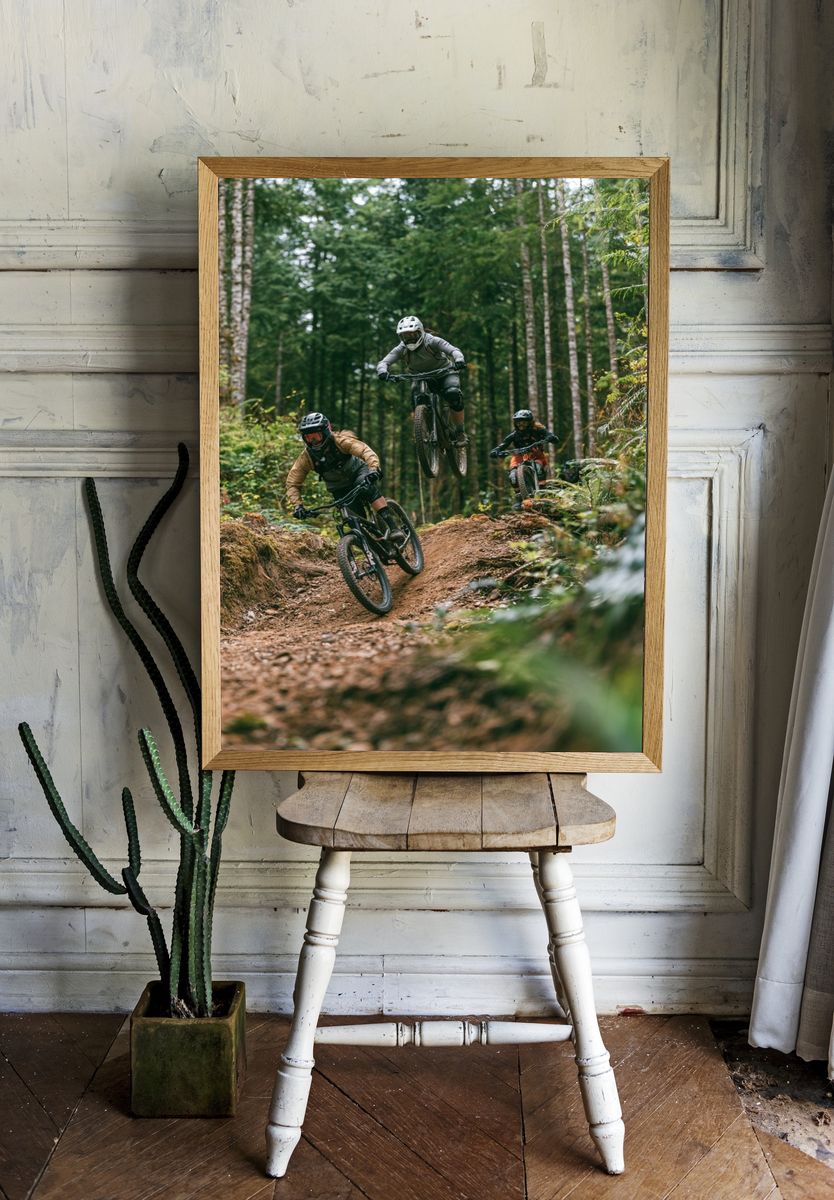 Forest Mountain Biking Photography Poster. — room view 1