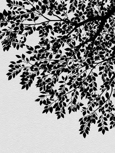 Black Tree Branches — Minimalist Print. poster
