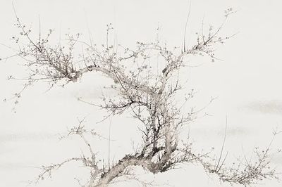 Blossoming Tree — Minimalist Print. poster print