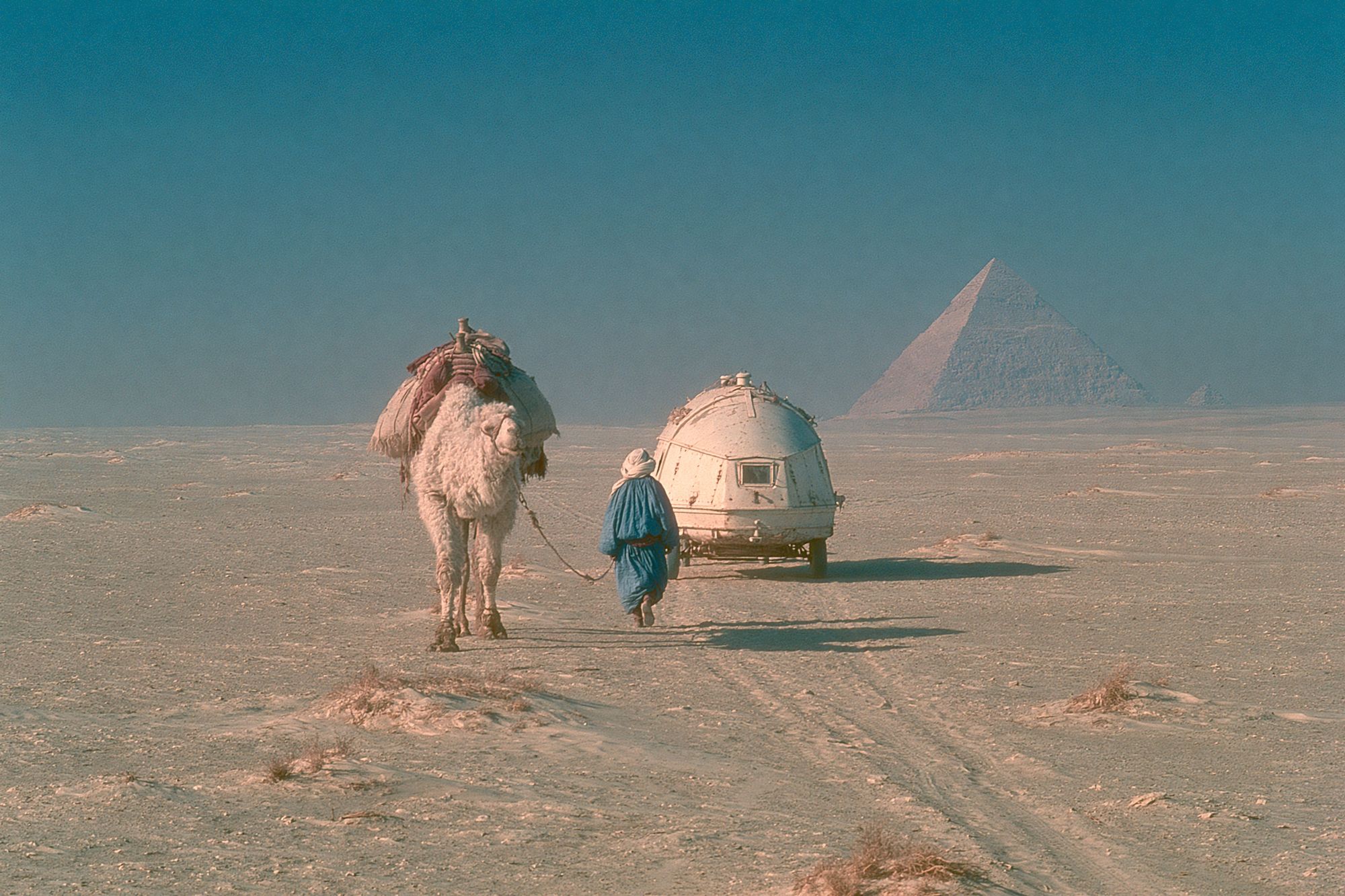 Desert Camel and Pyramid Print. poster detail
