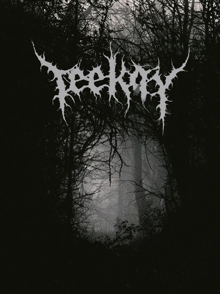 Bleak Forest Black Metal Poster. poster detail