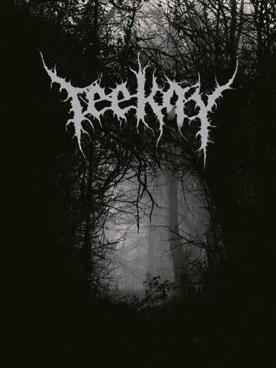 Bleak Forest Black Metal Poster.