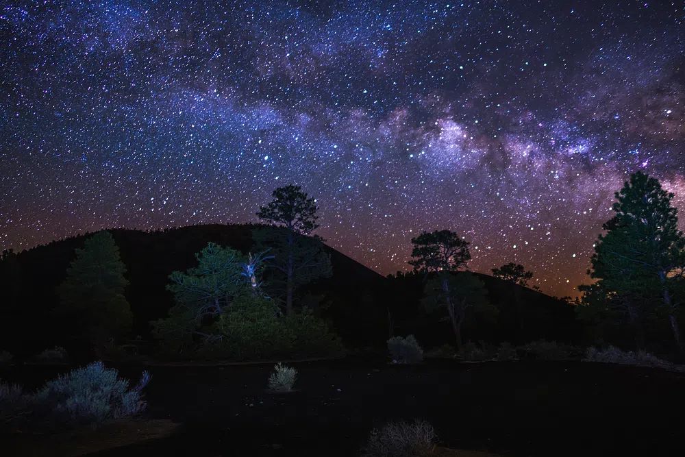 Milky Way Over Forest — Photography Print. poster — nature art