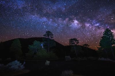 Milky Way Over Forest — Photography Print. poster