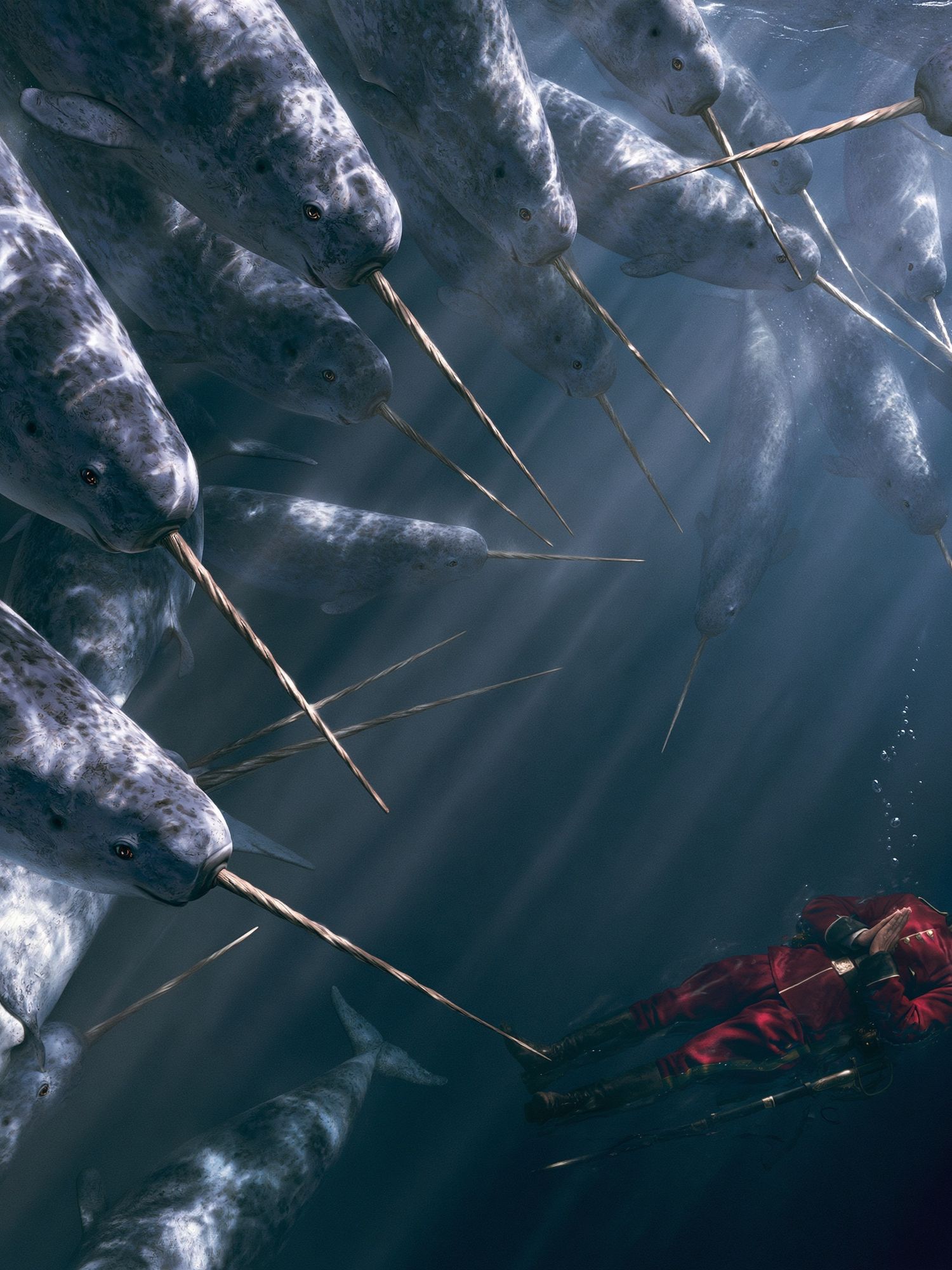 Narwhal Encounter Illustration Poster. poster — illustration art