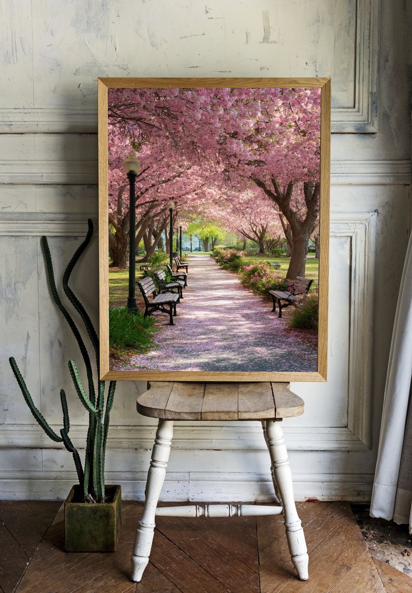 Cherry Blossom Park Path Poster. — room view 1