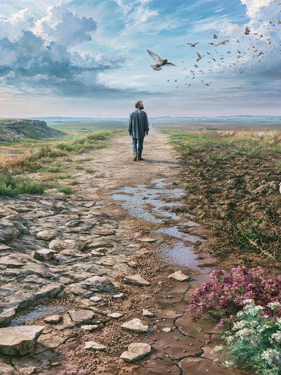 Solitary Walk in the Meadow Print. poster