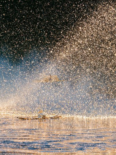 Golden Sea Spray Photography Poster. poster