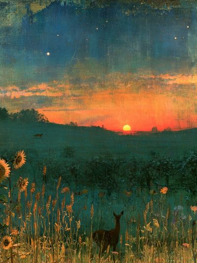 Sunset Meadow Deer Print. poster