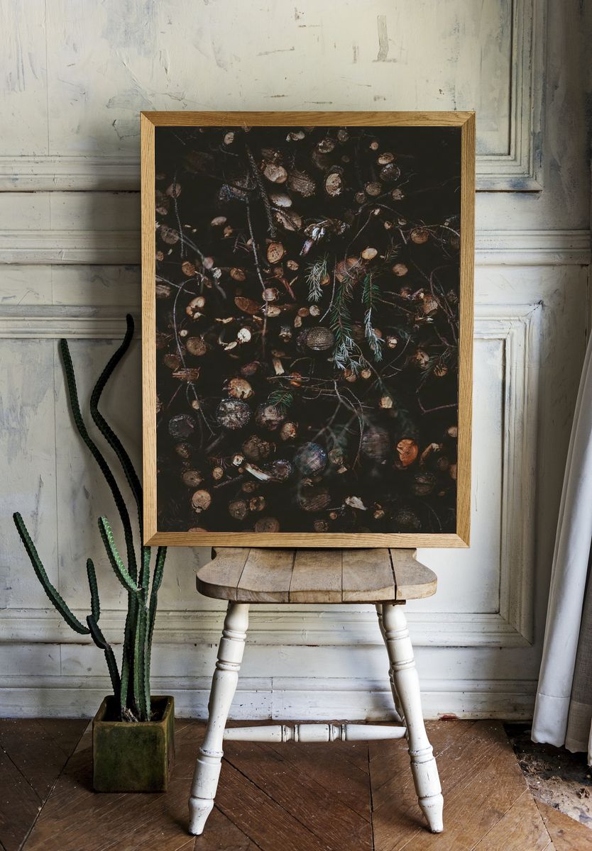 Dark Forest Floor Botanical Print room preview