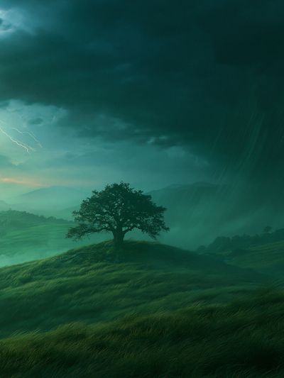 Stormy Lone Tree Landscape Poster.