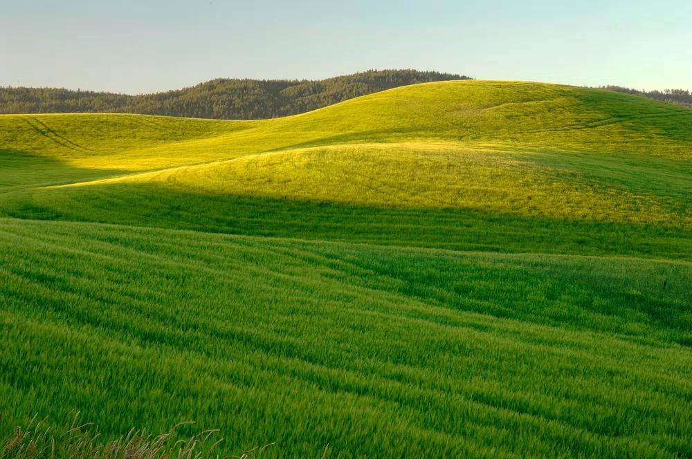 farm located Moscow, Idaho July. poster — nature art