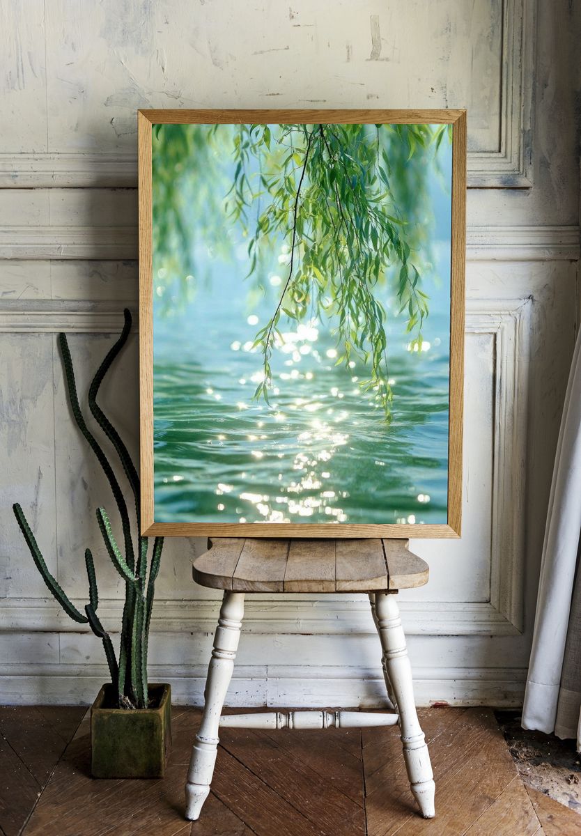 Willow Leaves by Water Photography Poster. room preview