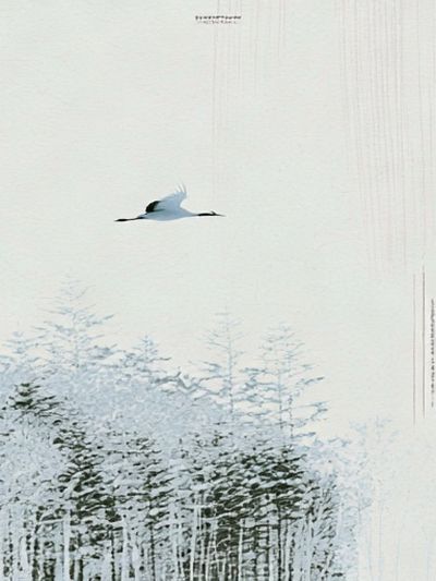 Crane Over Winter Forest Print. poster