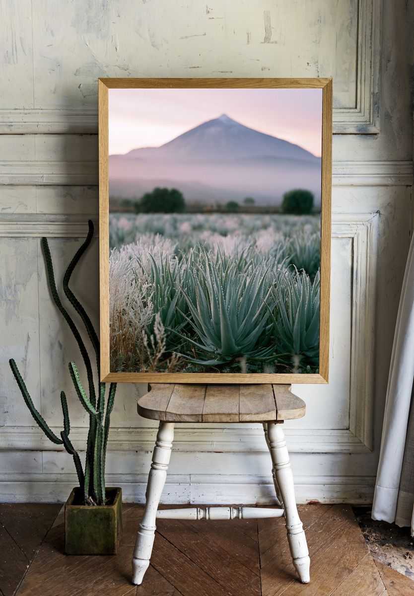 Misty Mountain Agave Landscape Poster. — room view 1