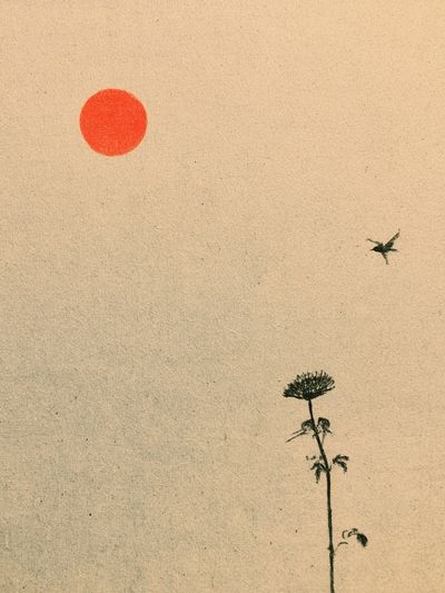Minimal Sun and Plant Poster. poster