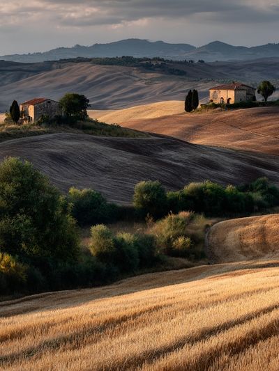 Tuscan Hills Landscape Poster. poster