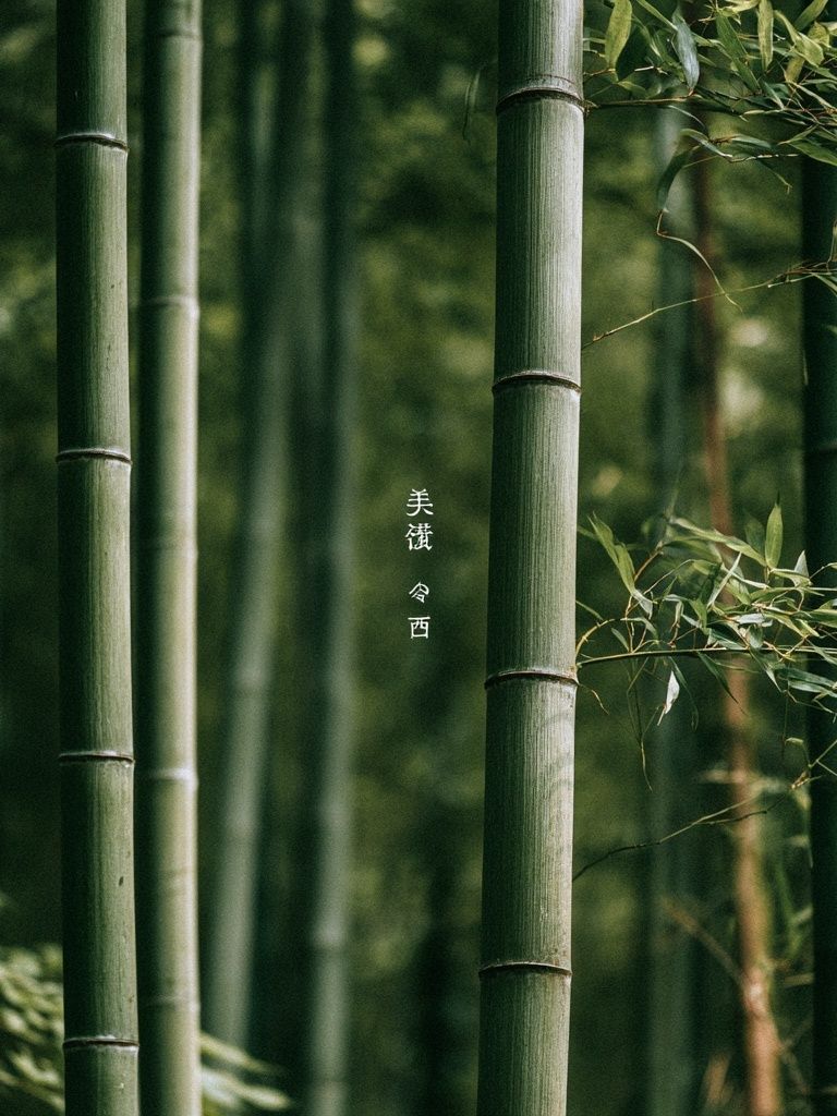 Bamboo Grove Serenity Print. poster detail