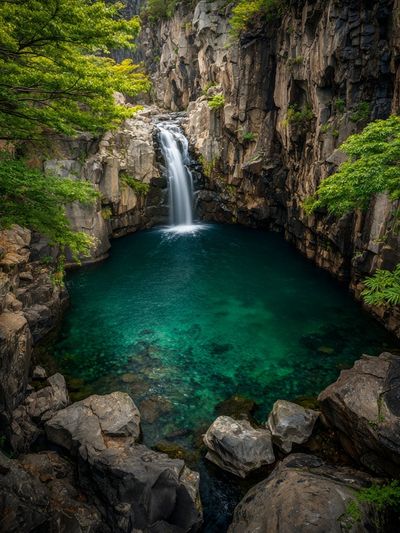 Tropical Waterfall Gorge Print. poster