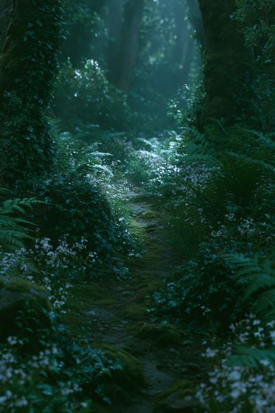 Misty Forest Path Poster. poster