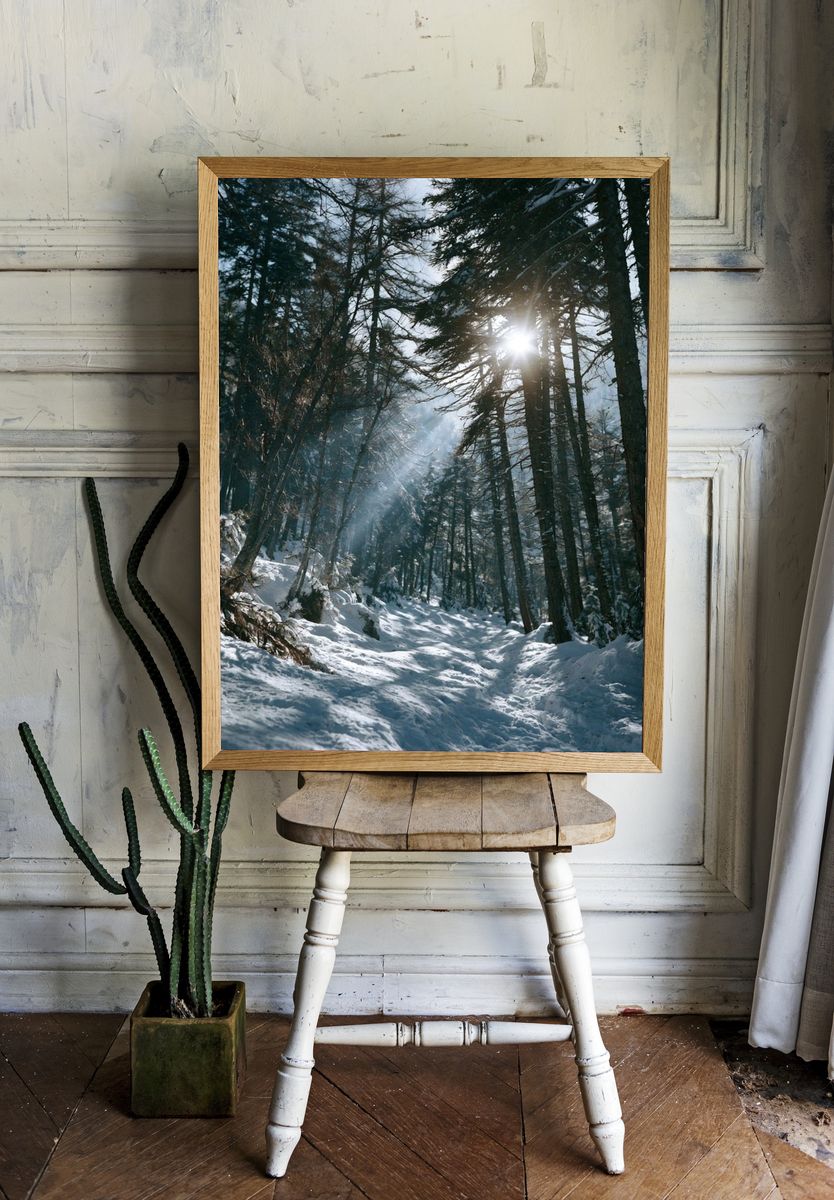 Snowy Forest Sunlight Poster. room preview