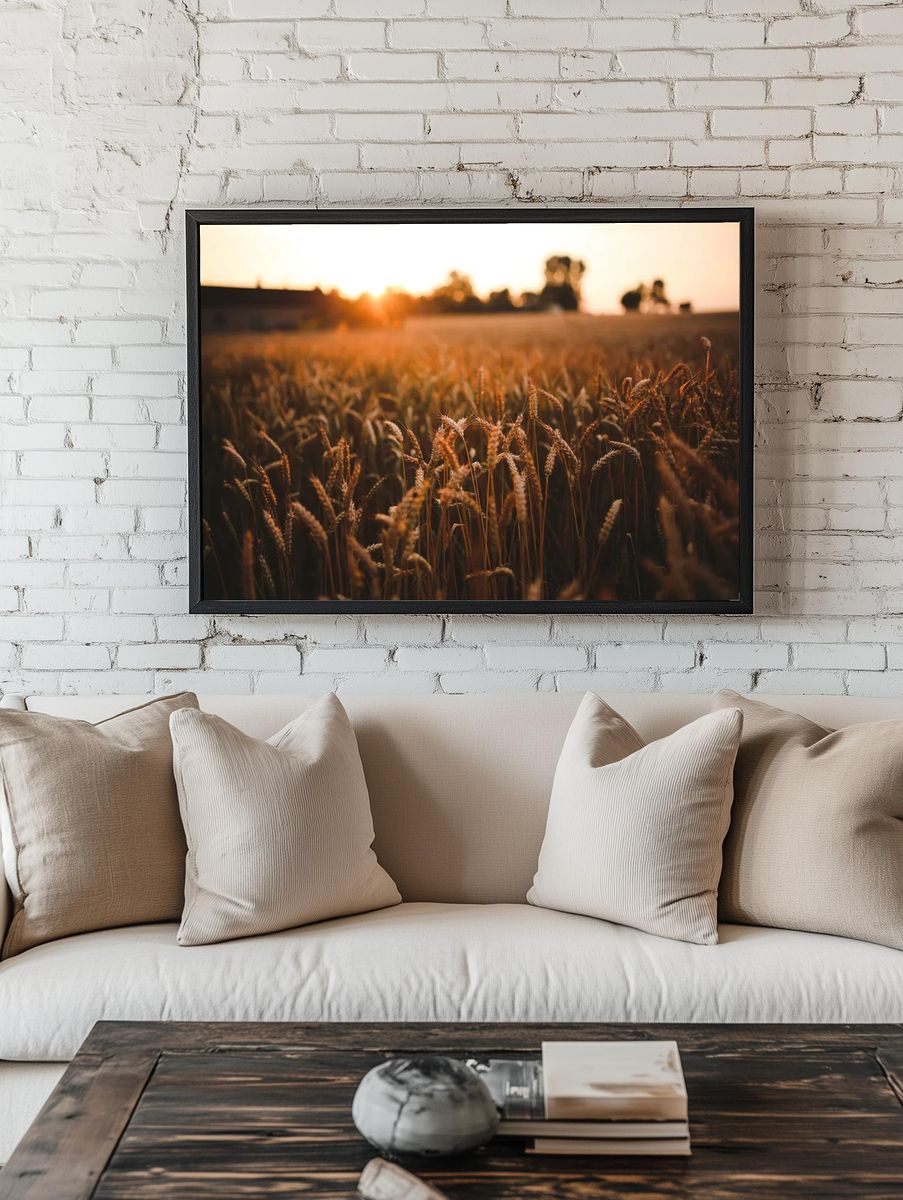 Field barley summer. Visit Kaboompics. room preview