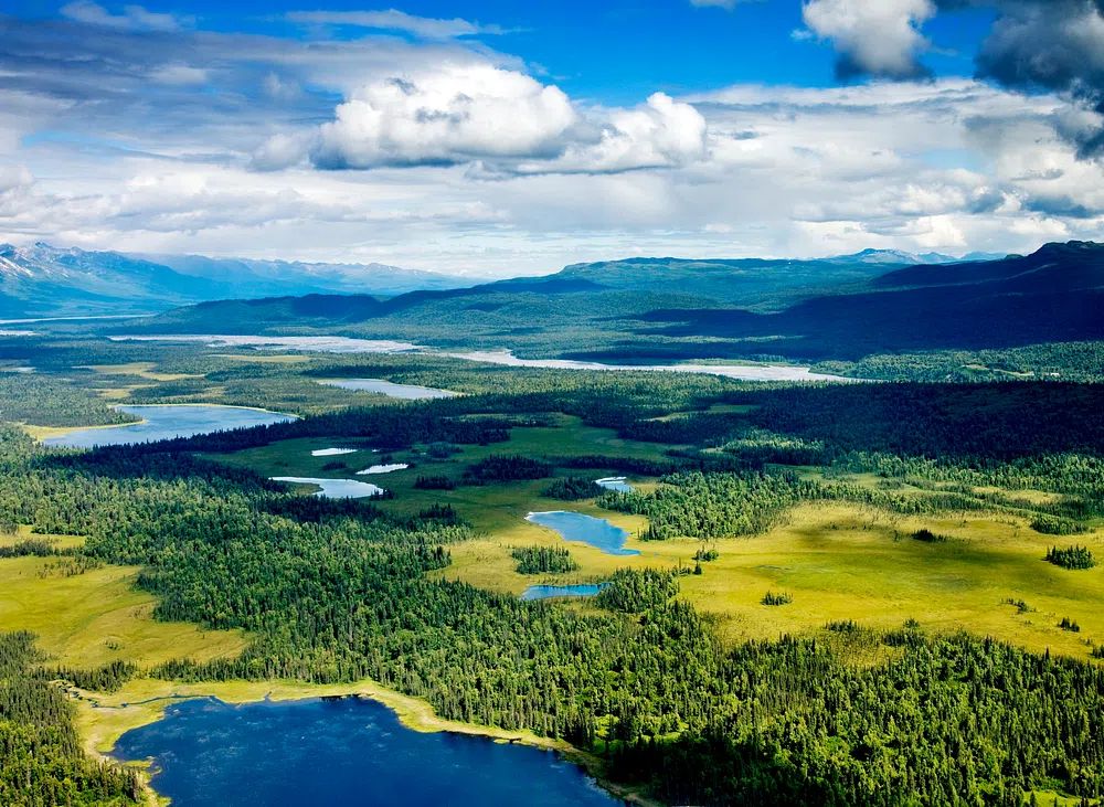 Lush Green Landscape — Nature Poster. poster — nature art
