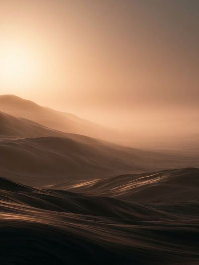 Desert Dunes at Dawn Print. poster