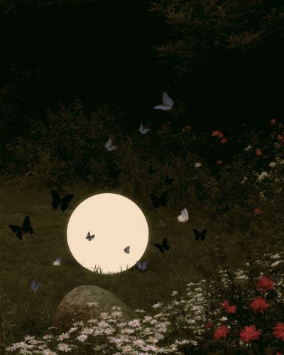 Moonlit Butterfly Garden Print. poster