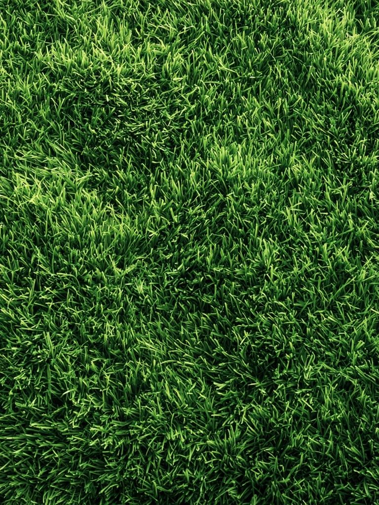 Lush Green Grass Texture Print. poster detail