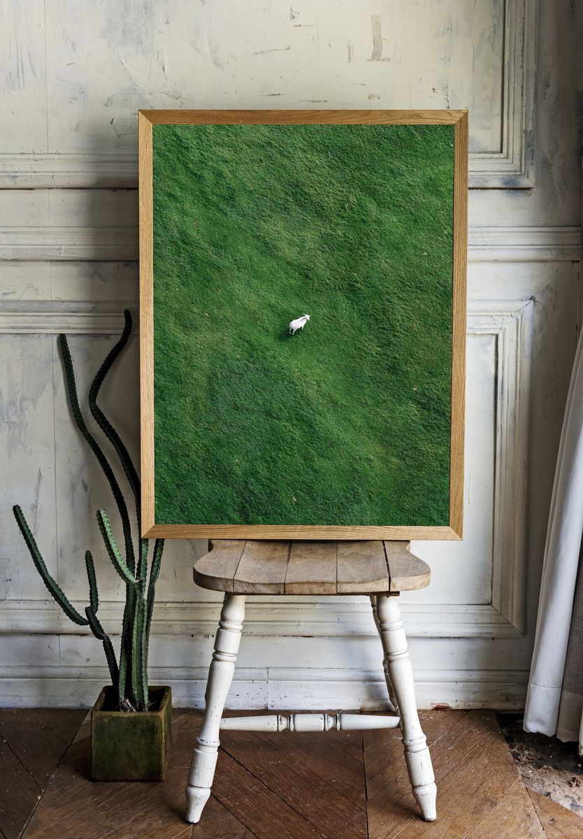 Lone Goat in Green Field Poster. — room view 1