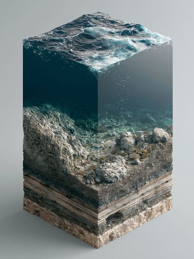 Ocean Reef Cross-Section Print. poster
