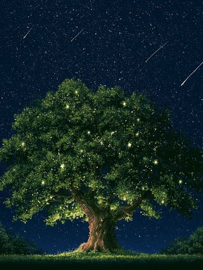 Starlit Tree Nightscape Print. poster