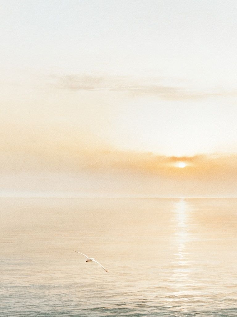 Golden Seascape Sunrise Poster. poster detail