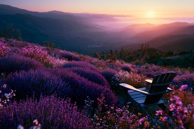 Lavender Sunset Mountain View Poster. poster