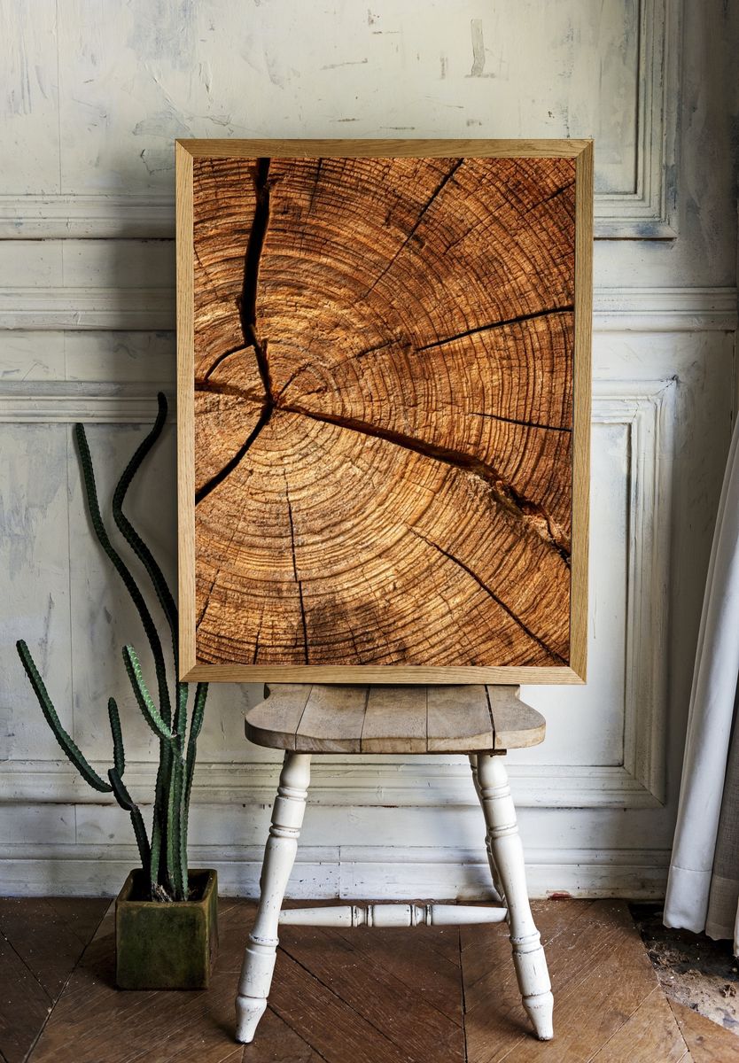 Tree Rings Texture Print. — room view 1