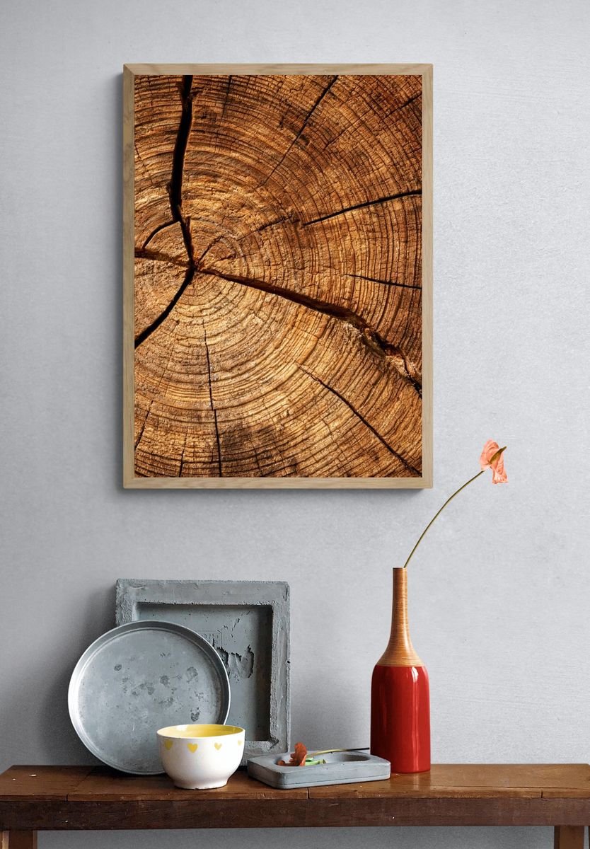 Tree Rings Texture Print. — room view 3