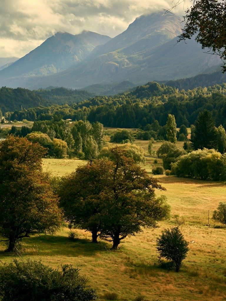 Misty Mountain Valley Landscape Poster. poster — nature art