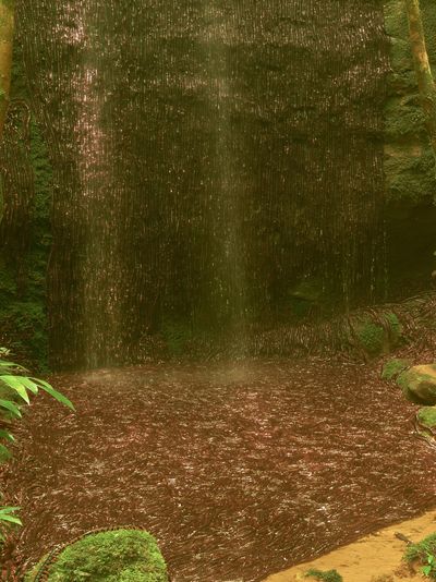 Misty Jungle Waterfall Photography Poster. poster