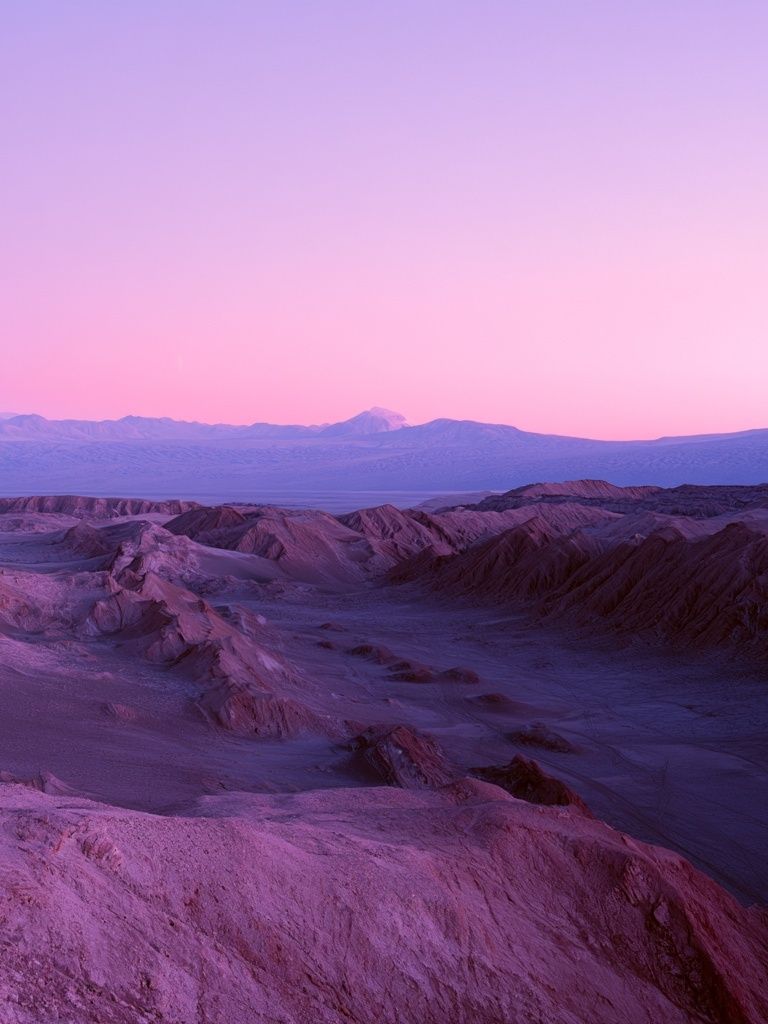 Pink Desert Dunes Landscape Poster. poster detail