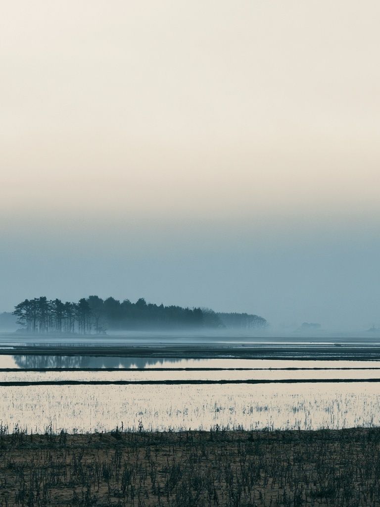 Misty Lake Landscape Poster. poster detail