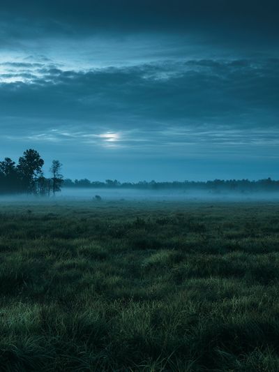 Misty Meadow Dawn Poster. poster