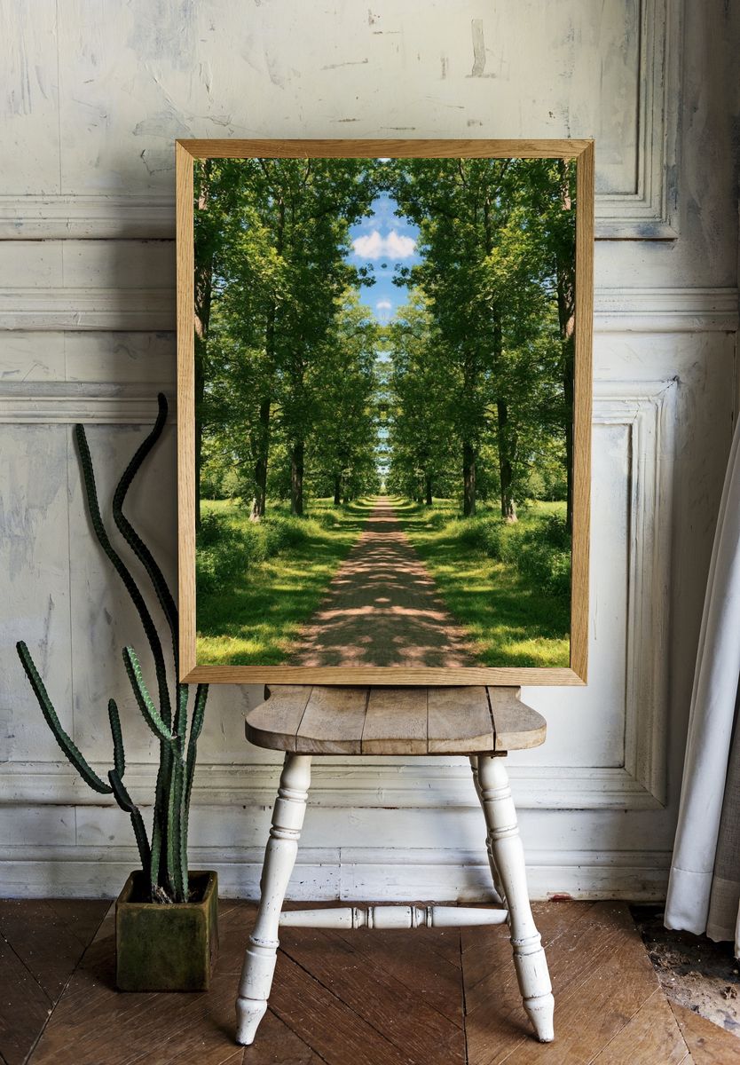 Tree-Lined Forest Path Poster. room preview