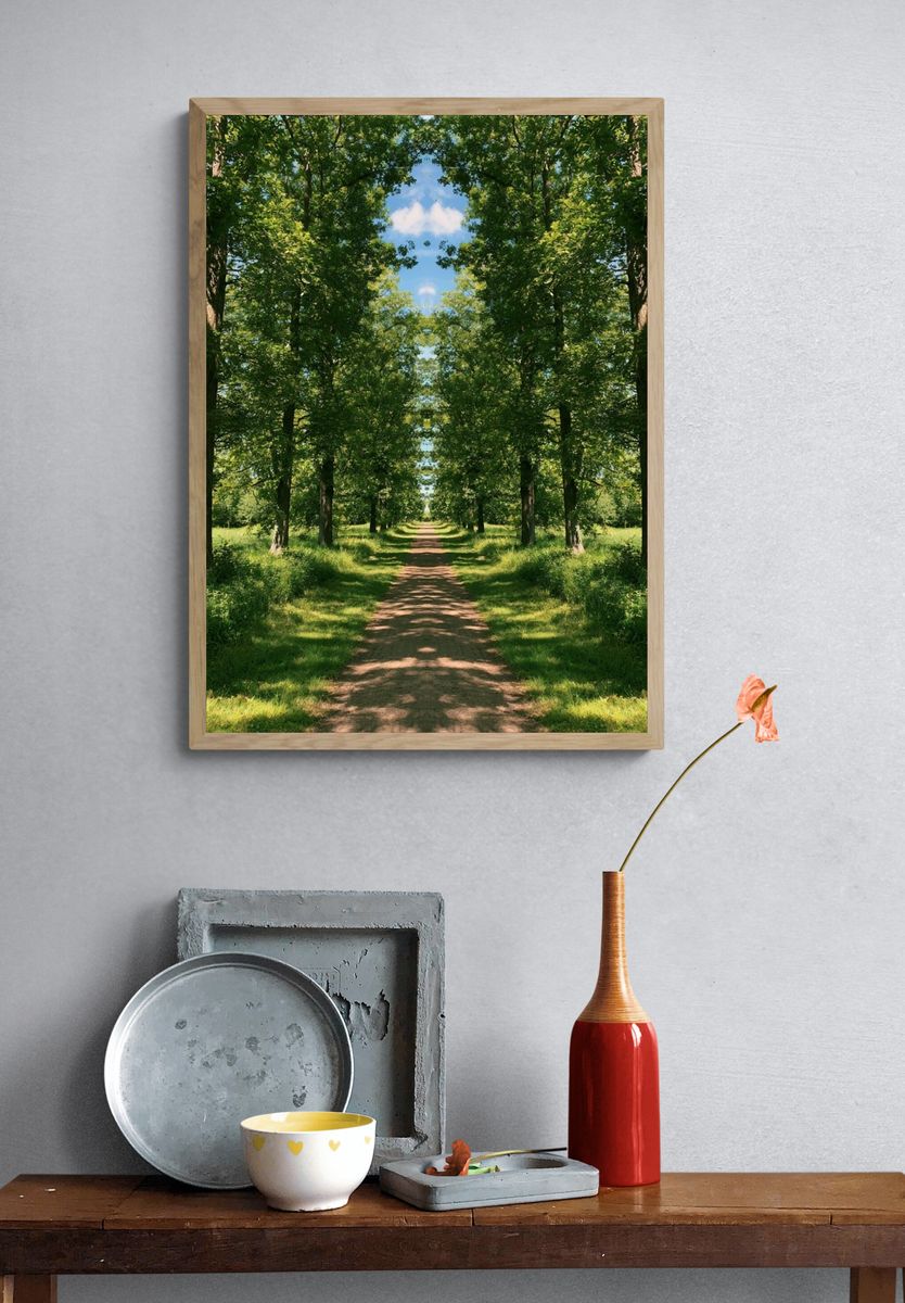 Tree-Lined Forest Path Poster. — room view 3