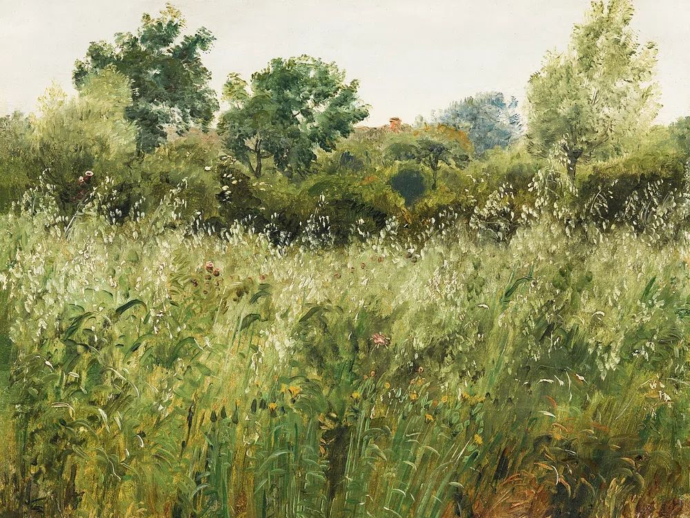 Field Oats Vejby (1843) vintage. poster — nature art