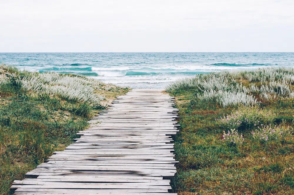 Wooden path grass ocean beach. poster — nature art
