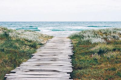 Wooden path grass ocean beach.