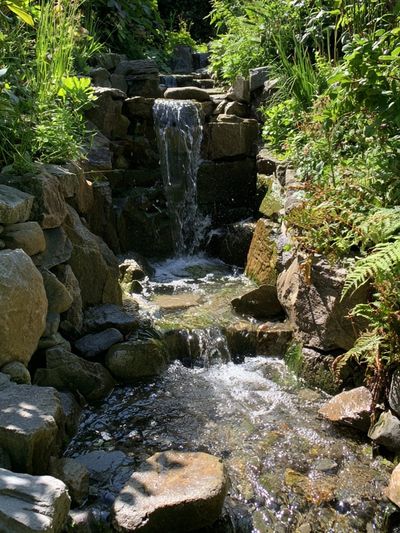 Garden Waterfall Nature Print.