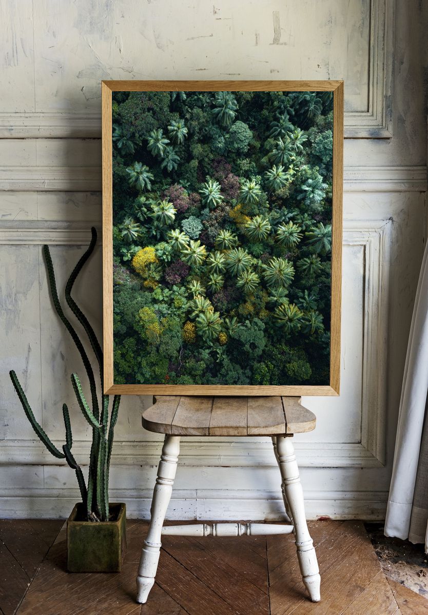 Tropical Canopy Aerial Poster. — room view 1