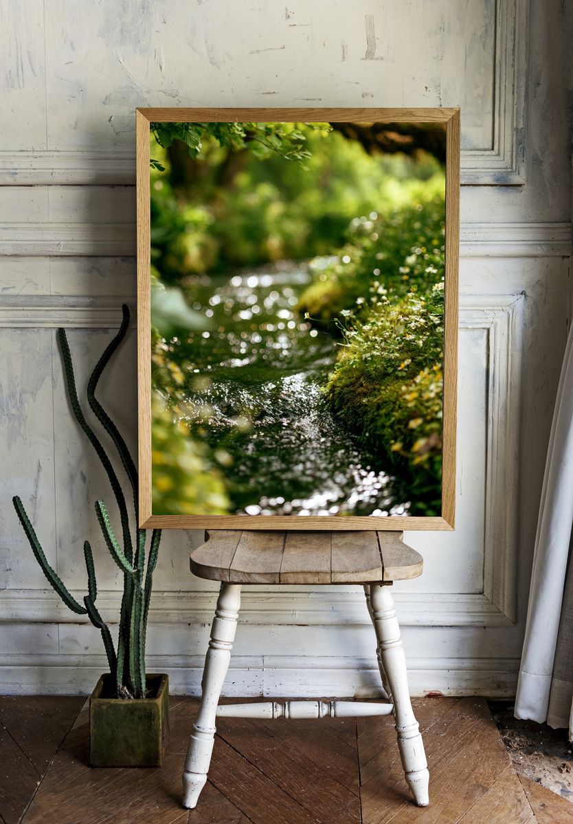 Mossy Forest Stream Photography Poster. room preview